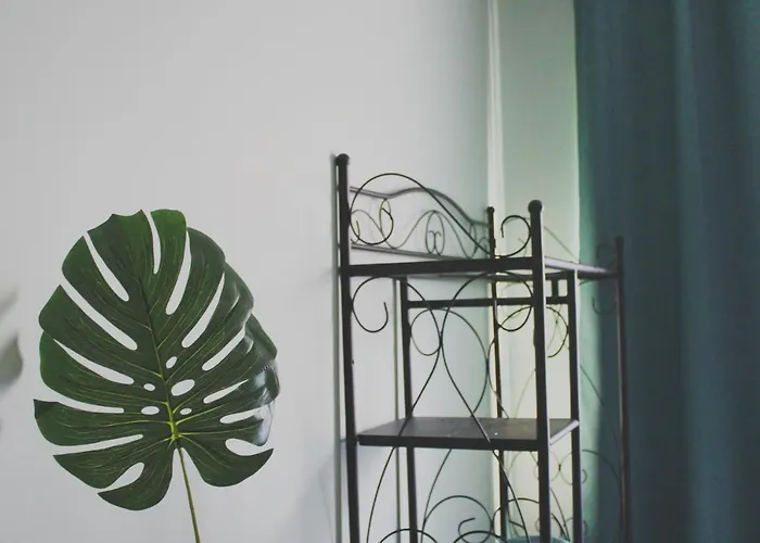 לינה וארוחת בוקר Casa Do Campo פניש